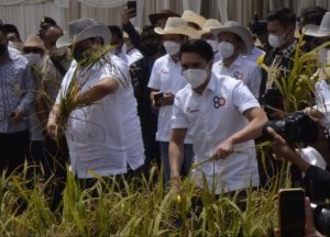 (Berita Foto) Airlangga Hartarto Panen Padi Gogo Rancah di Tulangbawang Barat