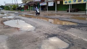 Miris, Kondisi Jalan di Kampung Kurnia Mataram, Kecamatan Seputih Mataram, Mirip Kubangan Sapi Jika Musim Hujan