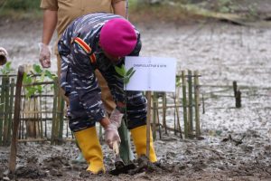Puslatpurmar 8 Teluk Ratai Turut Penanaman Mangrove Nasional
