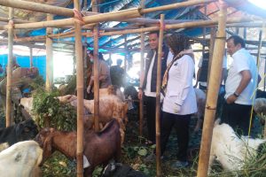 Tim Satgas Pangan Polda Lampung Bersama Stakeholder Terkait Lakukan Pemeriksaan dan Kelayakan Hewan Kurban