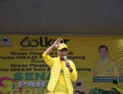 DPRD Lampung desak penindakan cepat! dugaan pembalakan liar di Pesibar ancam picu bencana besar