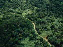 Penataan Zonasi Taman Nasional Way Kambas, Pemerintah Tegaskan Tak Ada Eksploitasi dan Penebangan