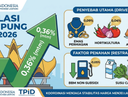 Lampung Catat Inflasi 0,36% pada Februari 2026, Dipicu Emas dan Pangan