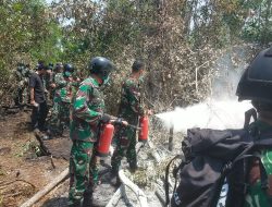 Terjun dari Langit, Tim Alfa TNI Buru Bara Tersembunyi di Way Kambas