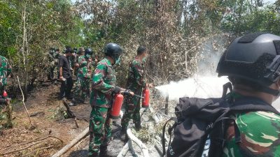 Terjun dari Langit, Tim Alfa TNI Buru Bara Tersembunyi di Way Kambas
