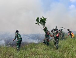 Komite Gabungan TNWK Turun Tangan Tangani Karhutla, Siapkan Logistik hingga 10 Titik Sumur Bor