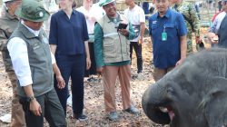 Menjaga Gajah, Melindungi Warga: Ribuan Meter Sekat Dibangun di Way Kambas