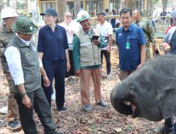 Menjaga Gajah, Melindungi Warga: Ribuan Meter Sekat Dibangun di Way Kambas