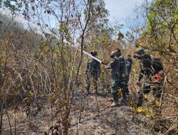 Karhutla Landa Dua Resor TNWK, Tim Gabungan Pastikan Habitat Gajah Aman