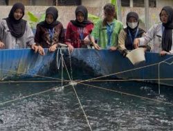 Lapas Kalianda Kembangkan Budidaya Perikanan, Bekali WBP dengan Keterampilan Mandiri