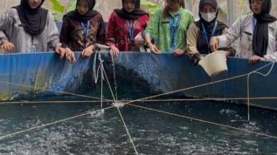 Lapas Kalianda Kembangkan Budidaya Perikanan, Bekali WBP dengan Keterampilan Mandiri