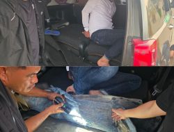 Plat Besi Bikin Polisi Curiga, 27 Kg Sabu Ternyata Disembunyikan di Bawah Innova