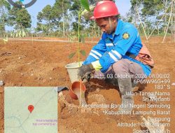 Warga Sekincau Ikut Pulihkan Hutan, Tanam Pohon Jadi Sumber Penghasilan Tambahan